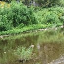 금강스튜디오 이미지