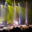 김창완밴드 콘서트 이미지