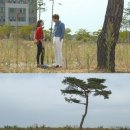 소나무주 이미지