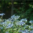 문일여자고등학교 이미지