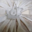 약성흑염소농장 이미지