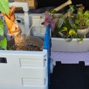 다감식품 | 26-1월-2: 이사하다 시간 다가네