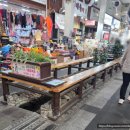 매일시장 | 서귀포매일올레시장 방문 후기 먹거리 소개 🛍️🍊