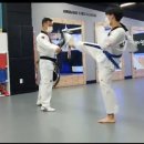 도신태권도