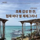 [제제그리너 협재] 제주도 협재에서 사진 찍기 좋은 오션뷰 카페 추천, 협재 카페 추천, 제주도 인생샷...