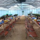 꿈나무농장 이미지