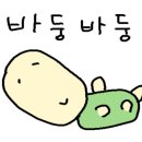 운동맛집 짐레이너 이미지