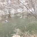 풍천사슴농장 이미지