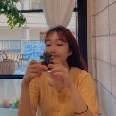혜원 카카오 검색결과