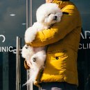 닥터페티앙동물병원 이미지