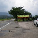 연곡민박 네이버블로그