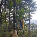 문막시장 이미지