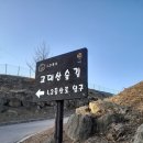 삼보쉼터 이미지