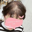정연치과 네이버블로그