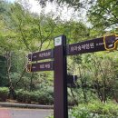 힐링(만인산) 이미지