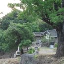 삼지재 이미지
