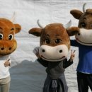 코뚜레목장 이미지