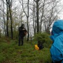 나, 비야 이미지