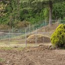 봉서1리 이미지