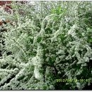 외방1리 이미지