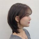 위즈샵