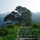 영월,봉화 경계의 구룡,민백,삼동산 산행. 이미지