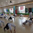 태권도 비전팀 이미지