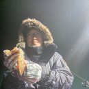 성진스틸 | 거제 둔덕 호래기 선상낚시 후기｜(금) 호래기 낚시 꿀팁!!!