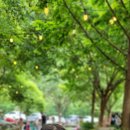 물가애 캠핑장 이미지