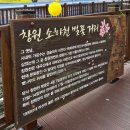 씨유마산창포한백점 | [마산 벚꽃 명소] 마산 문화동 소하천 연애다리 마산 숨은 벚꽃 명소 후기