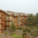 제주금강산콘도미니엄 이미지