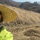 순일농장 이미지