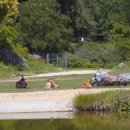 리옹동물병원 이미지