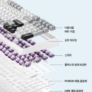 F99 | 독거미 키보드 AULA F99 사용후기 | 유무선 기계식LEOBOG 경해축 실사용 추천