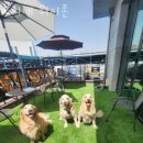 루이네워시존 이미지