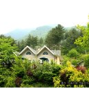 전원향기 이미지