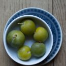 나눅스네트웍스 이미지