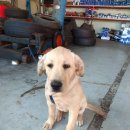 준영카정비 이미지