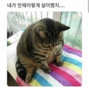 진네이션 이미지