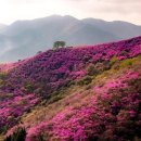청운 이미지
