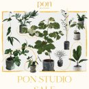 피오앤스튜디오 이미지