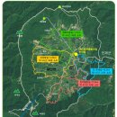 60년만의 개방,강원오지,양구,DMZ(민통선)펀치볼 숲 길 및 "야생화" 탐방 트레킹 이미지