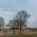 까치세탁 이미지