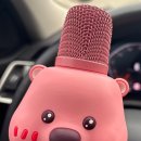 비주얼펫살롱 이미지