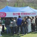 곤명축구장 네이버블로그