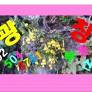 광창공인중개사사무소 이미지