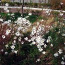 갈산근린공원 이미지