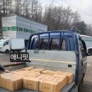 애니핏짐 이미지