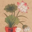 되지 생활건강 이미지