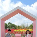 다솔공원 이미지